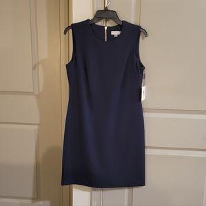 Calvin Klein Dress NWT